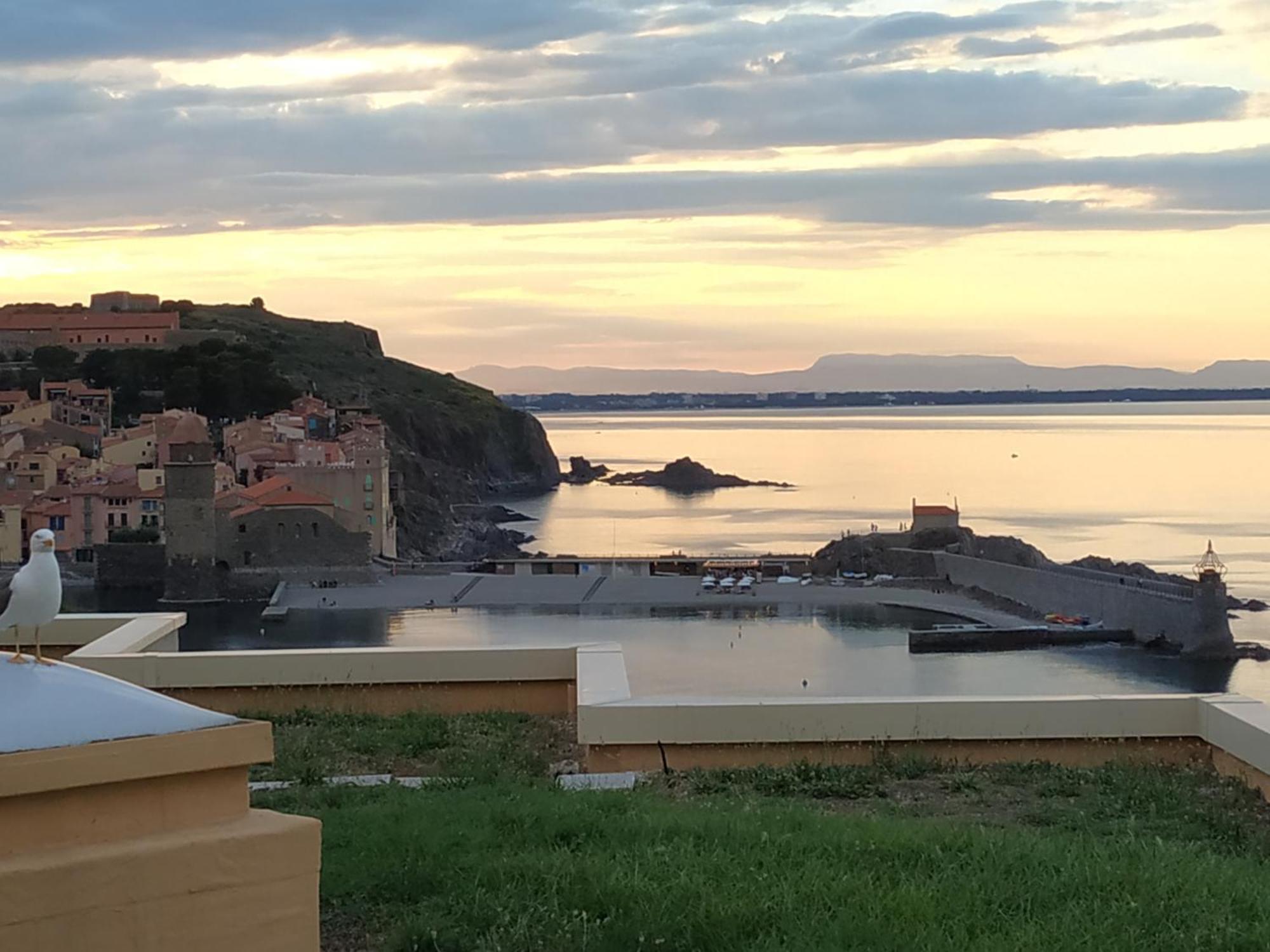 Location Vue Mer Du Samedi Au Samedi, Clim, Parking, Piscine, Plage Collioure Ngoại thất bức ảnh